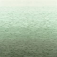 RX 4000 Privacy Curtain Fabric